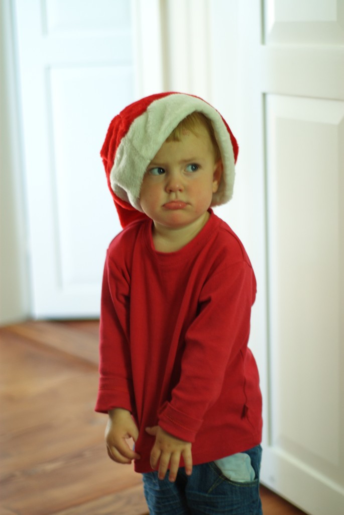 _DSC0212.JPG - Uppvärmning inför julen -i JUNI !!