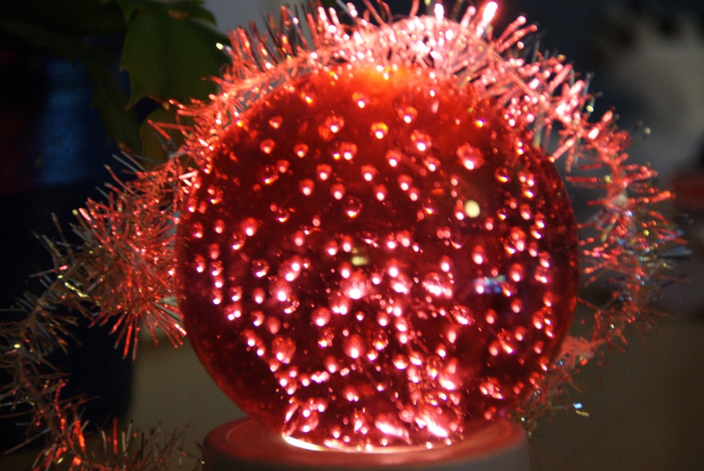 _DSC0564.jpg - Agnes sk. röda måne som hon köpt för egna pengar.