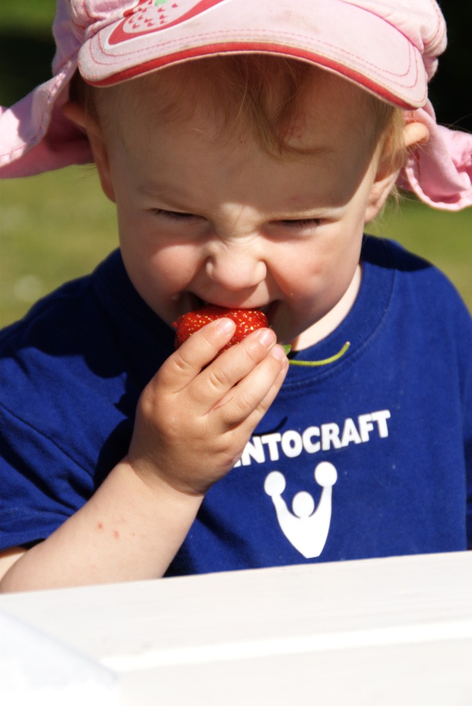 _DSC9673.jpg - Säsongen jordgubbar