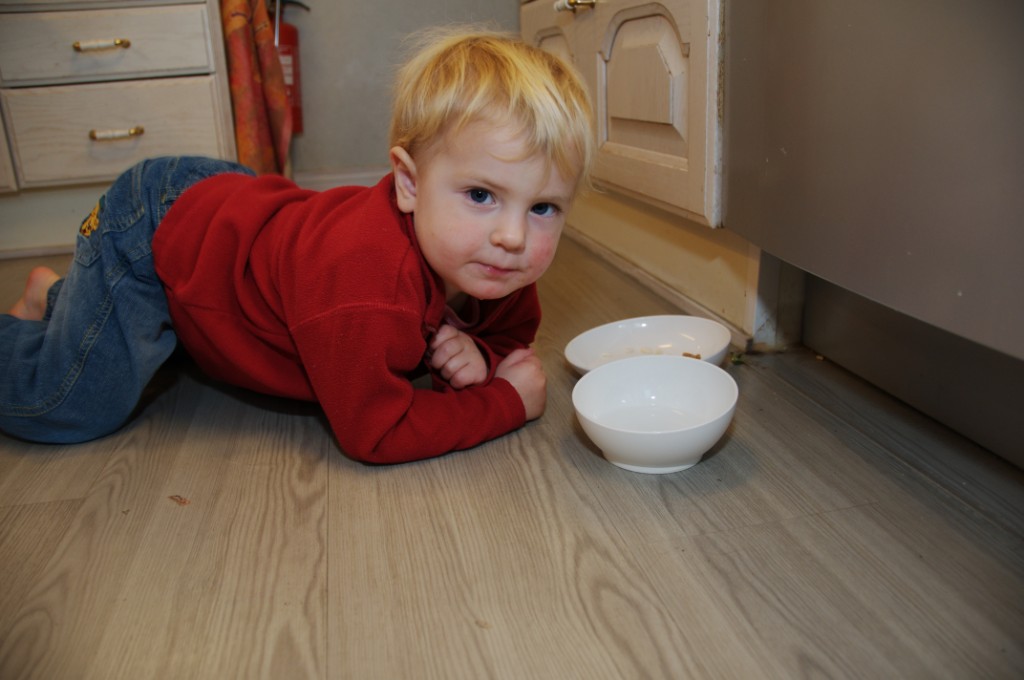 _DSC1649.JPG - Agnes praktiserar som hund