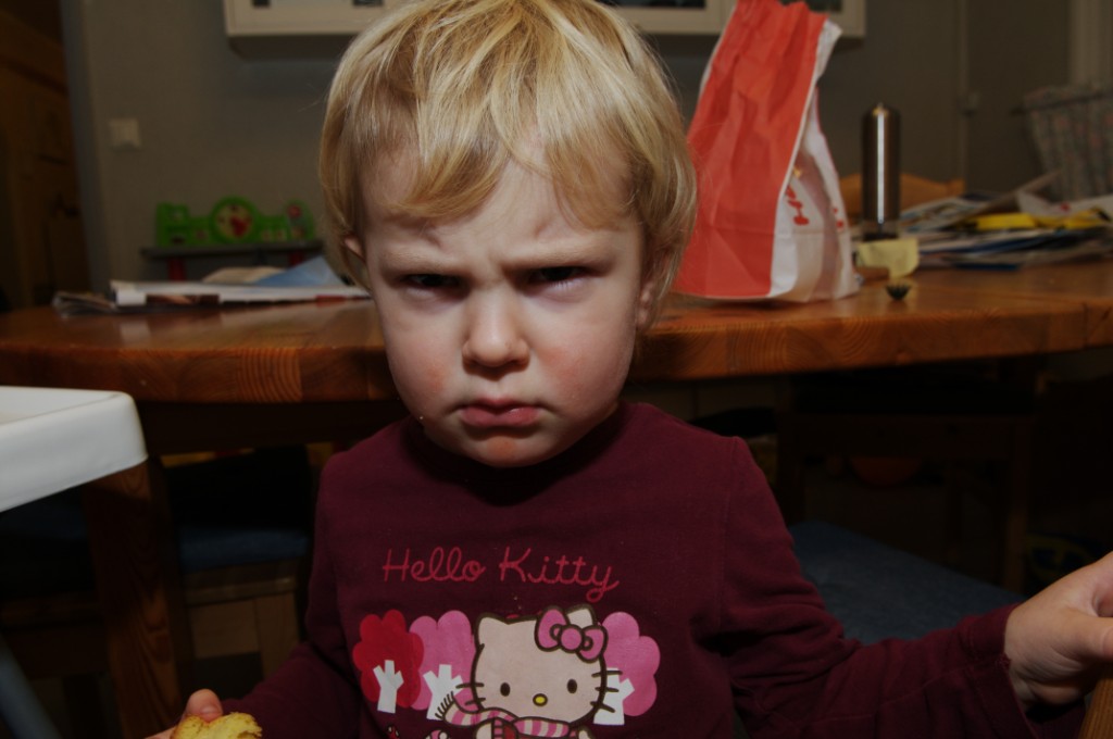 _DSC2424.JPG - Grrrr.