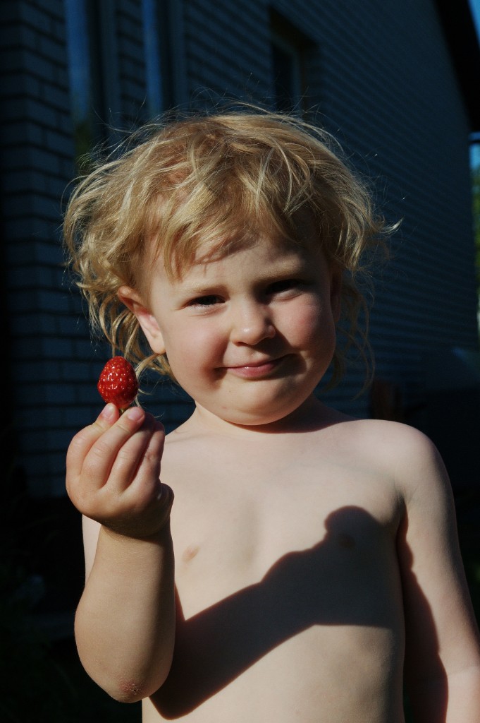 _DSC7459.JPG - Wow - egna jordgubbar.