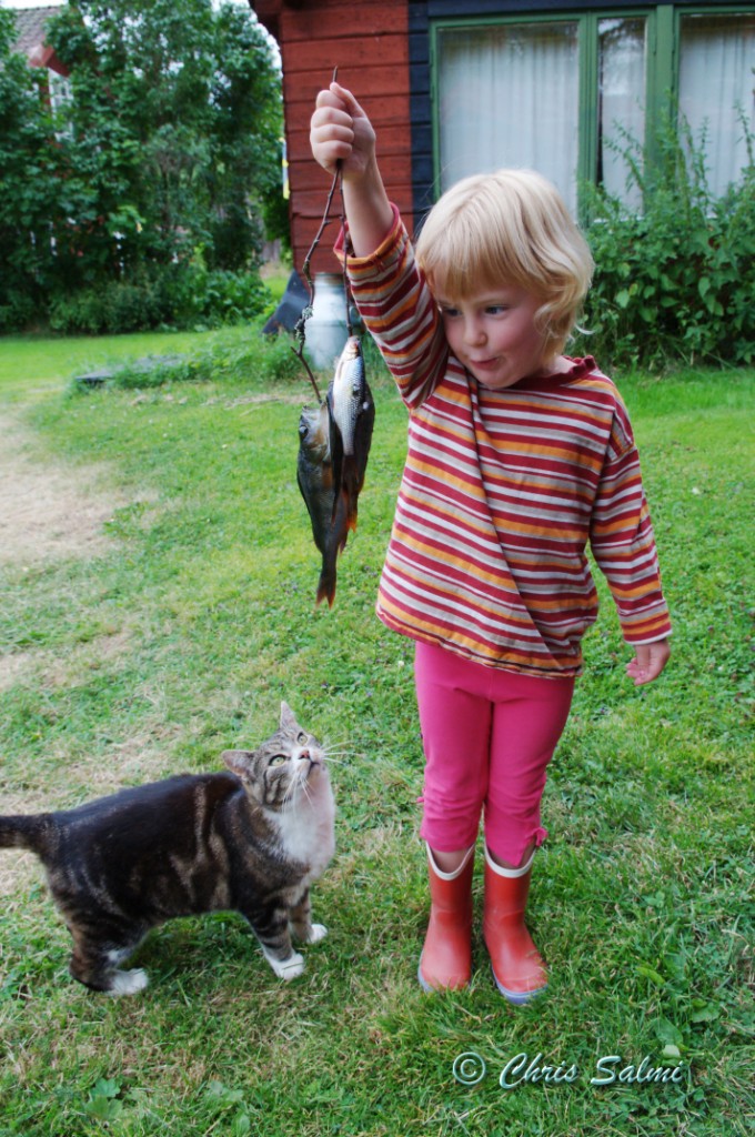 _DSC8704.JPG - Storfikar Agnes - men katten Ace vill också smaka