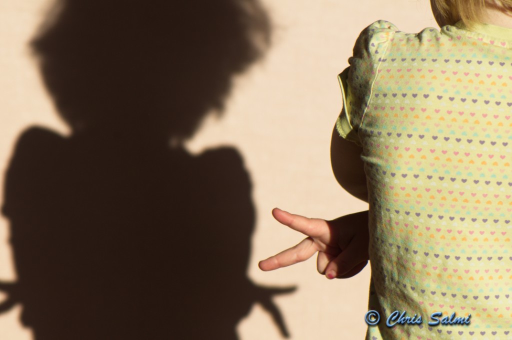 _DSC2680.JPG - Lek med skuggor