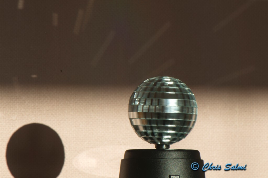 _DSC2770.JPG - Agnes discokula