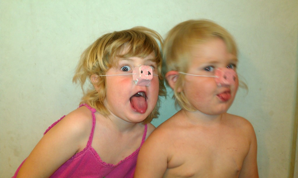 IMAG0425.jpg - Fina grisnäsor av äggkartong till hela familjen