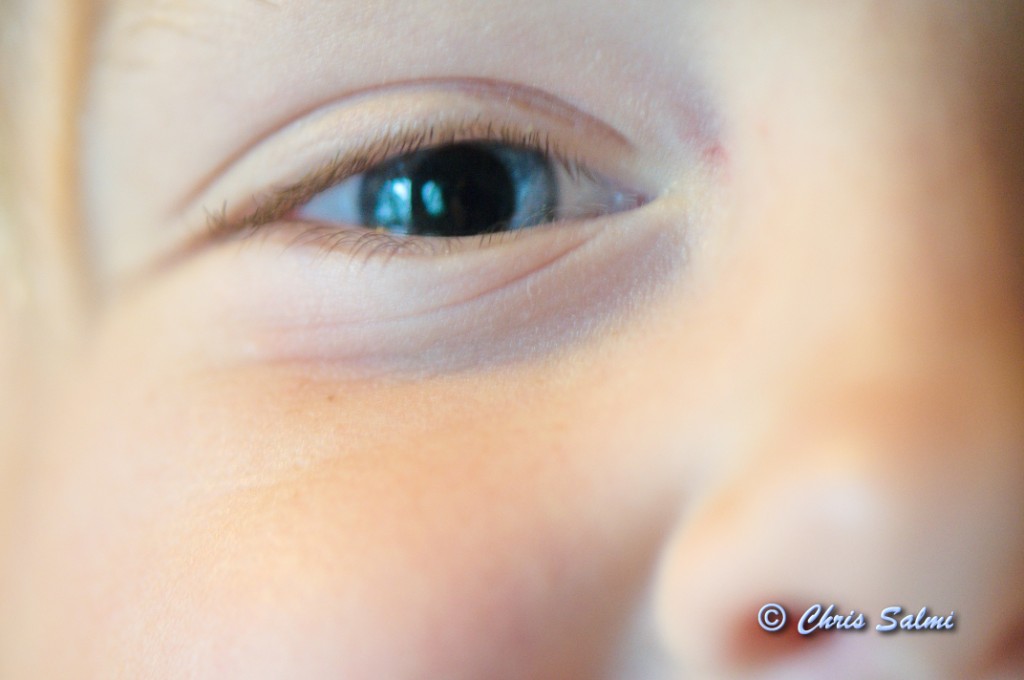 _DSC6742.JPG - Glimten i ögat
