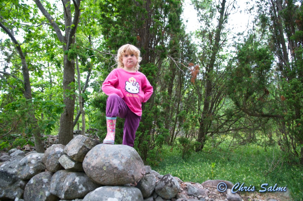 _DSC6973.JPG - Klumpudden, Törnerum, Kalmar