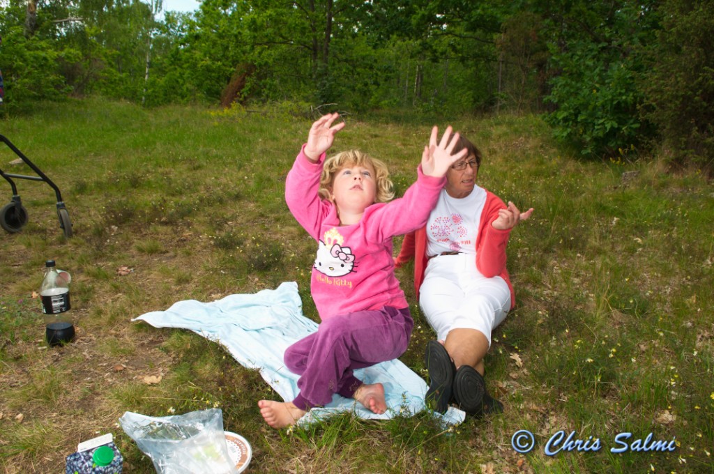 _DSC7004.JPG - Trollslända?