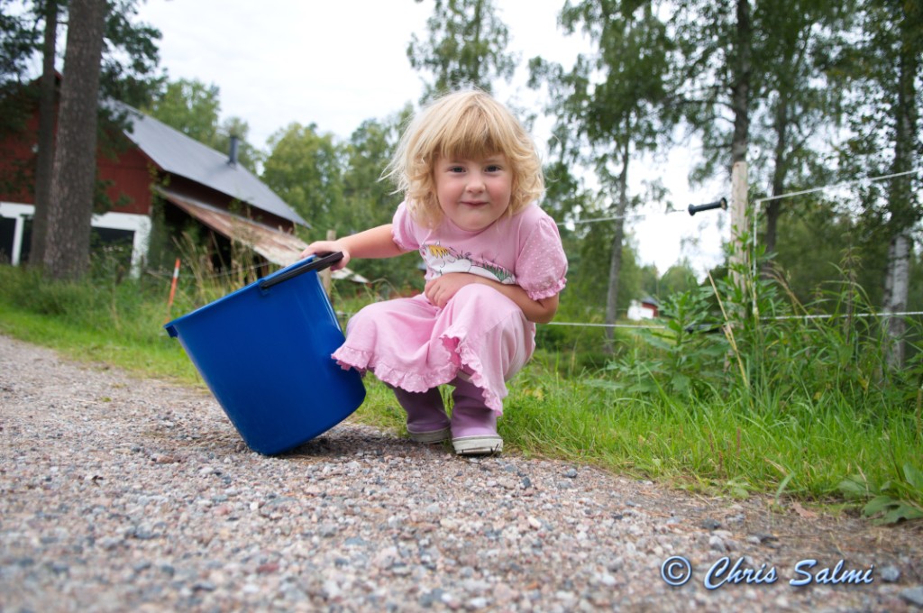 _DSC7511.JPG - Här skall plockas i skogen