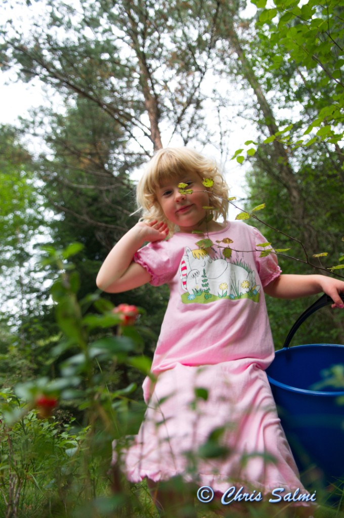 _DSC7528.JPG - Lingon