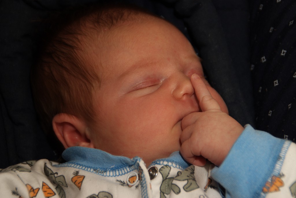 _DSC9792.jpg - Undra vad hon drömmer om?