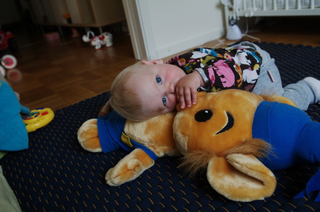 _DSC7062.JPG - Bamse (Bampa) och tummen - kan det bli bättre?