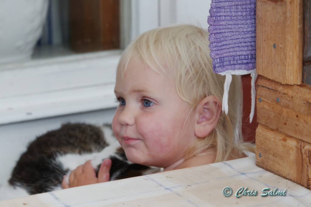 _DSC9385.JPG - Katter är mjuka