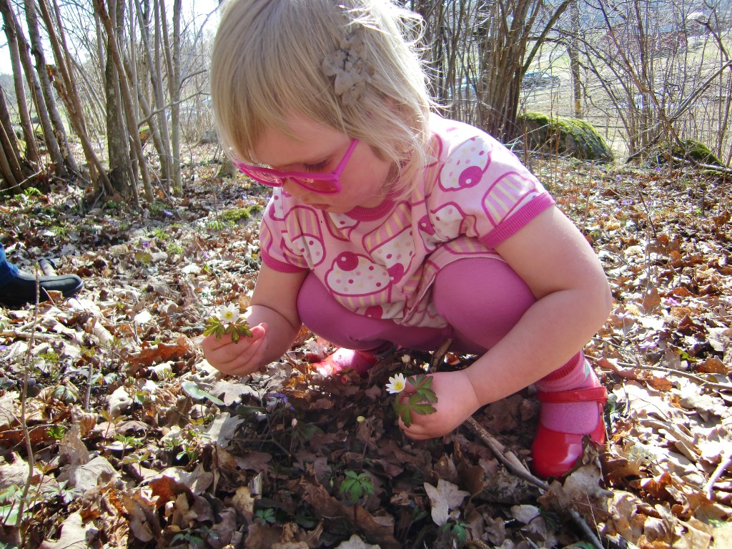 CIMG2739.JPG - Just det - de vita får man plocka