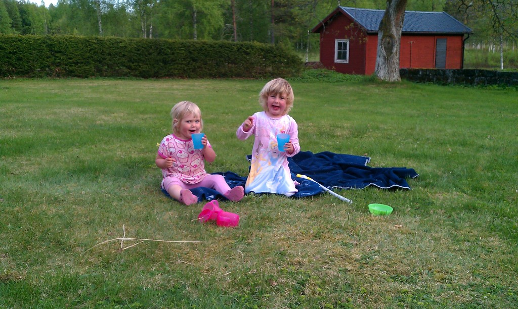 IMAG0434.jpg - Picknick i Spännarhyttan