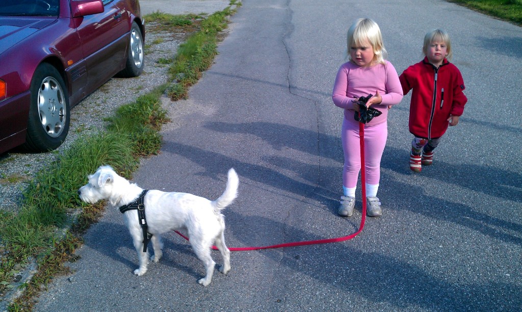 IMAG1043.jpg - Stort att hålla i hundkopplet