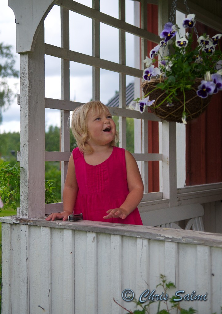 _DSC6580.JPG - Midsommardagen