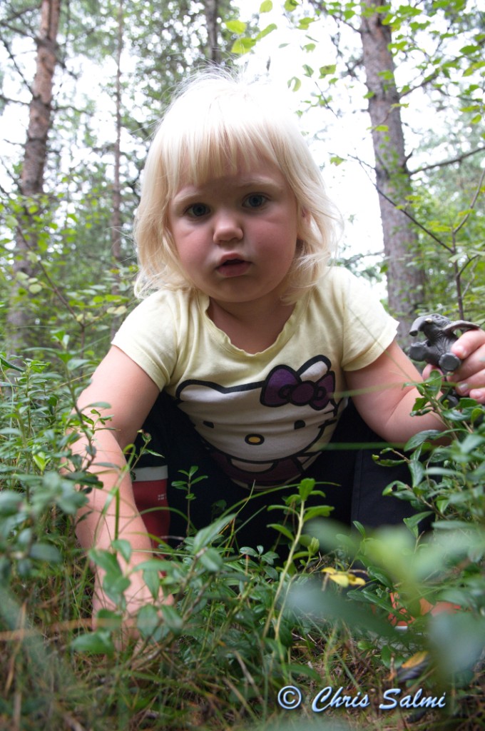 _DSC7558.JPG - Elefanten hjälper till