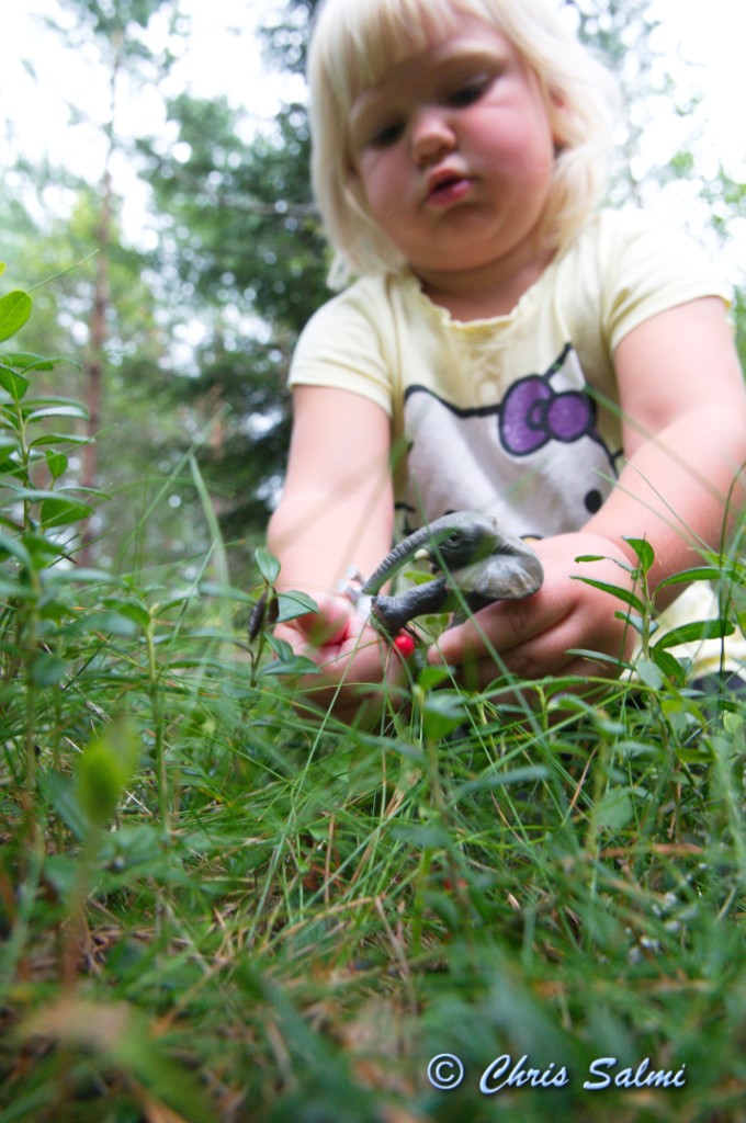 _DSC7562.JPG - Elefanten hjälper till
