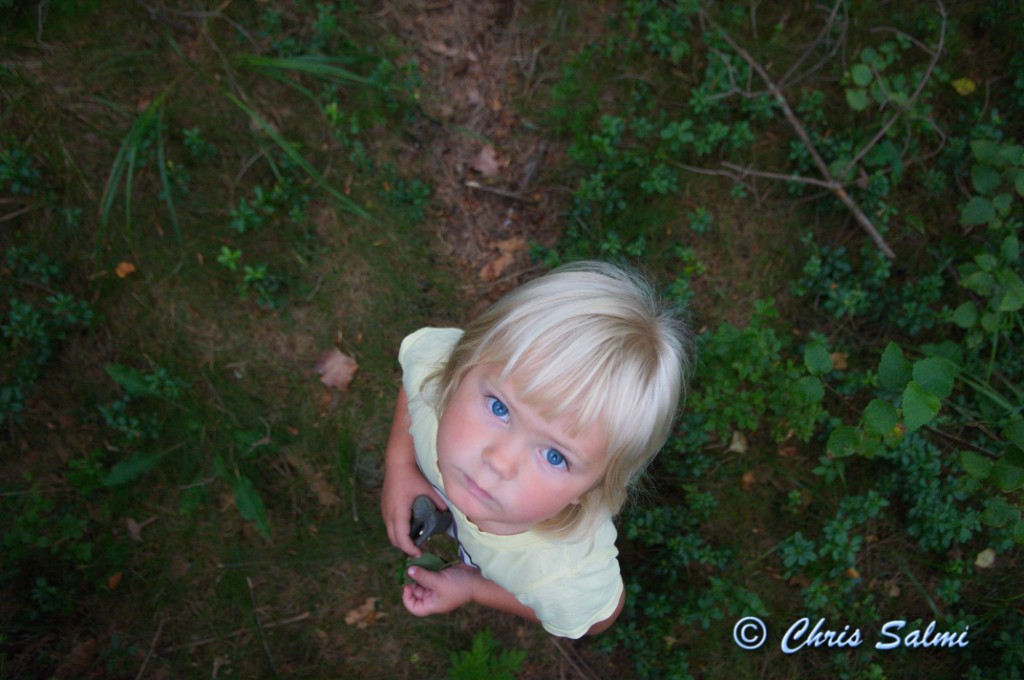 _DSC7606.JPG - Tittar mot trädtopparna