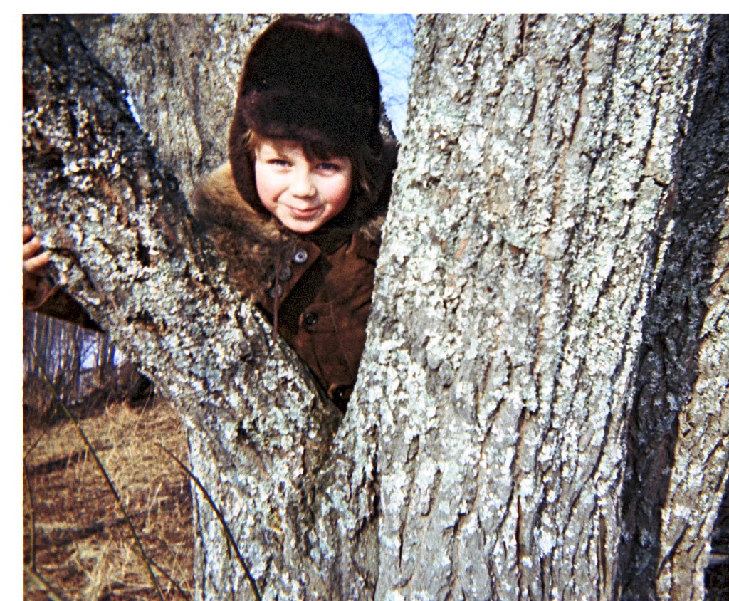 Image-001831.jpg - Tittus