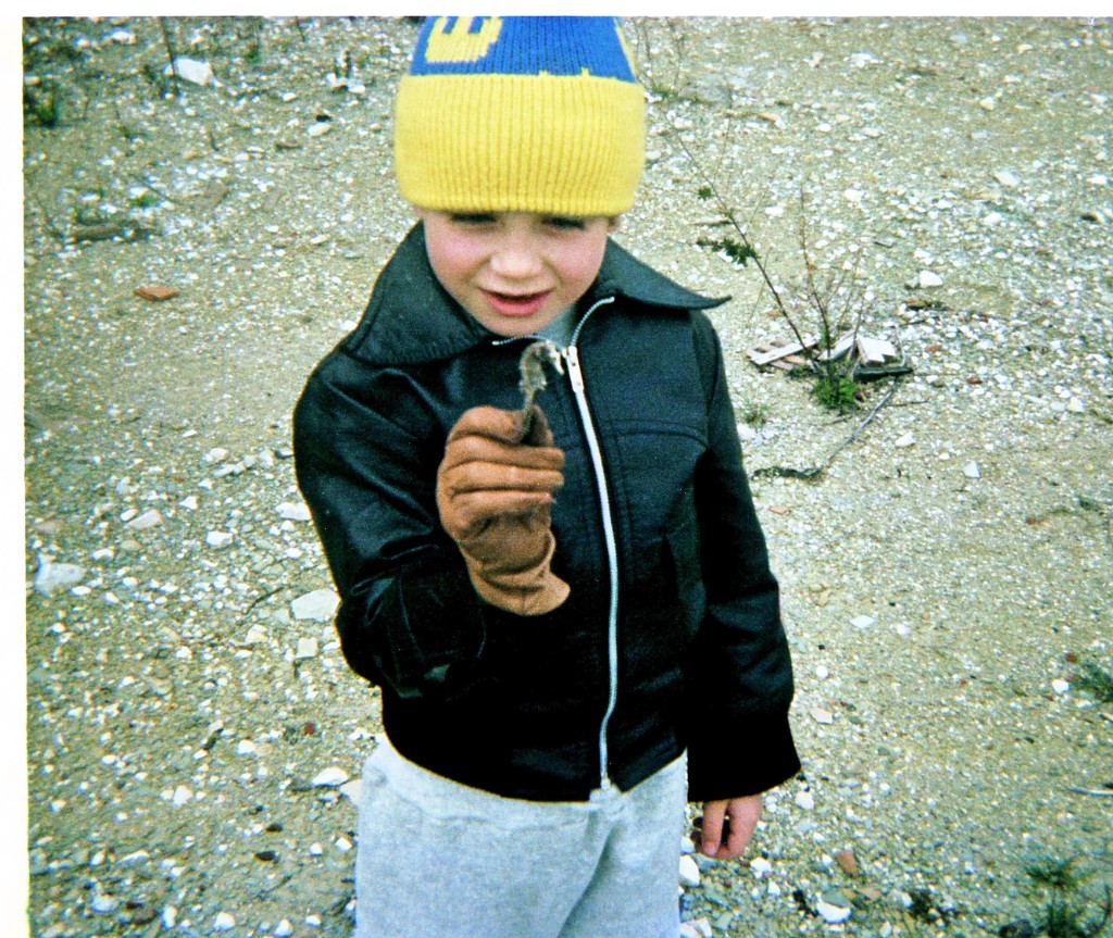 Image-001892.jpg - Torkad sjöhäst - bilden är INTE tagen i Sverige