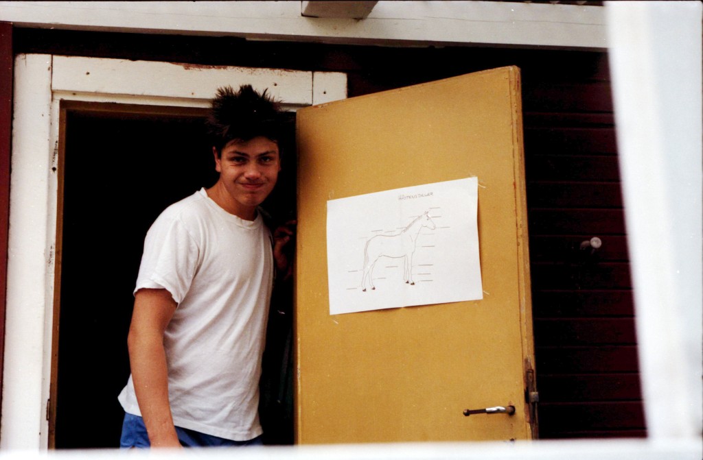 Image-002164.jpg - Det är inte jag som pluggat hästens delar