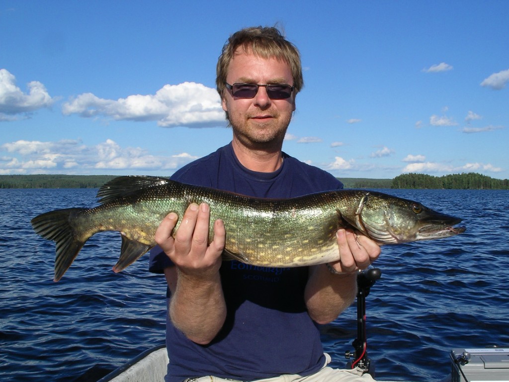 IMGP1241.JPG - Fin gädda på 3.1kg