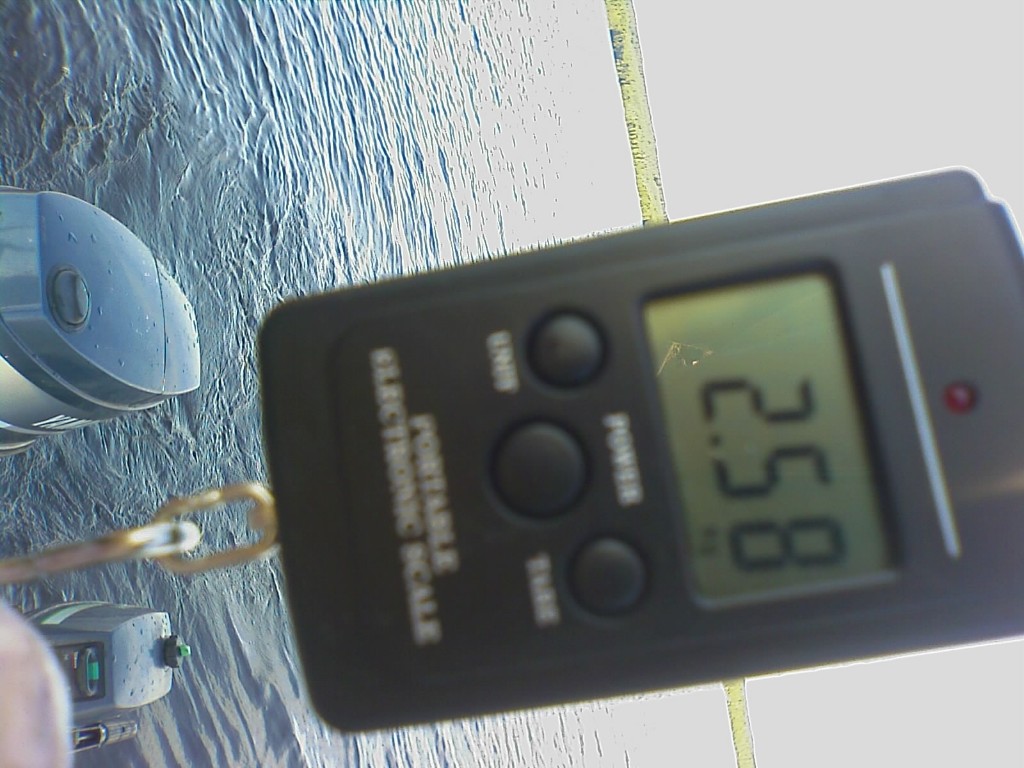 IMAGE_065.jpg - Bra bit