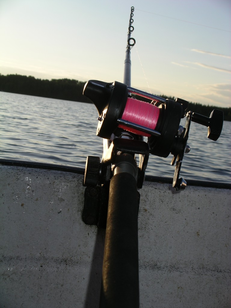 IMGP1121.JPG - Petris rulle hade rosa lina - allt för att attrahera tjejgösarna?