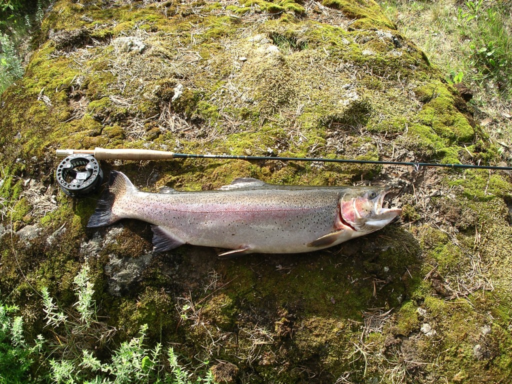 IMGP0724.JPG - Fina fisken - grattis Chris