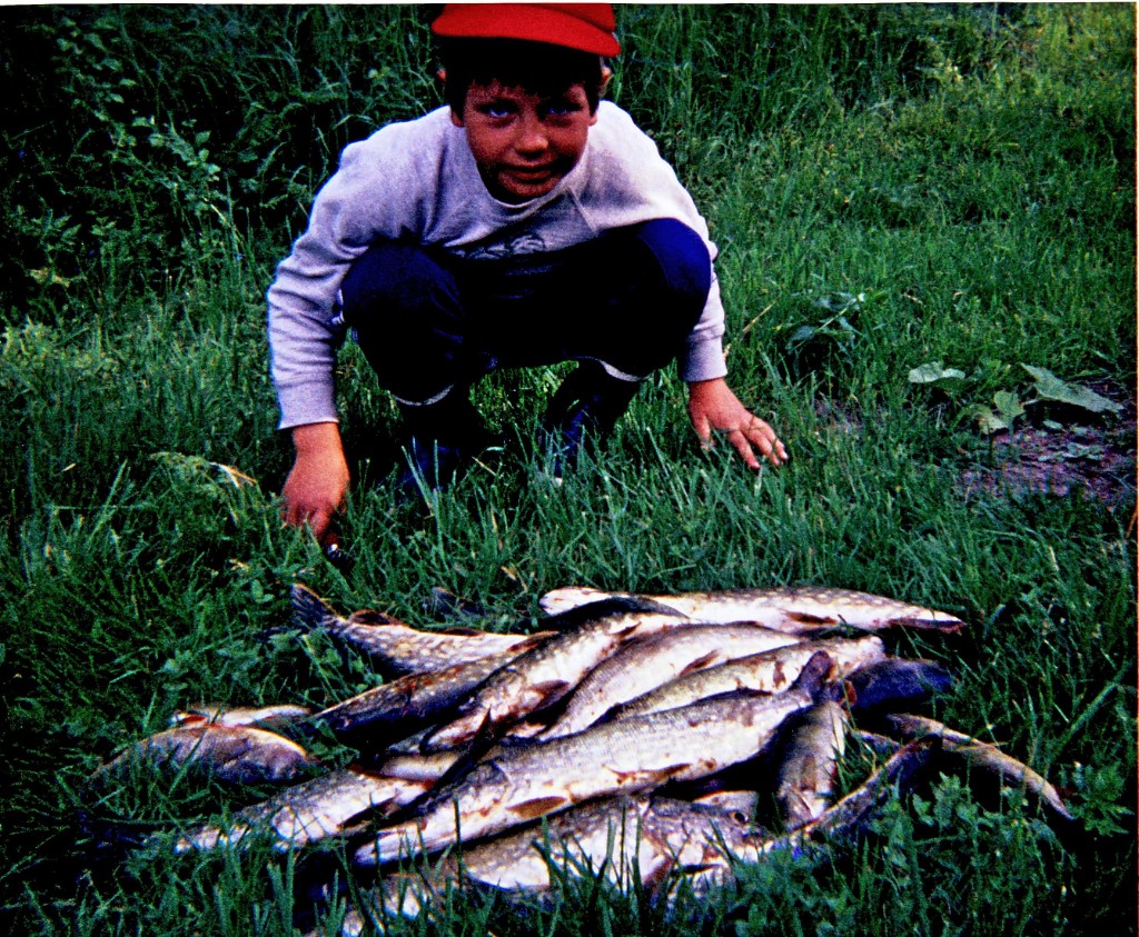 Image-001753.jpg - Mycket fisk för att vara taget med spö