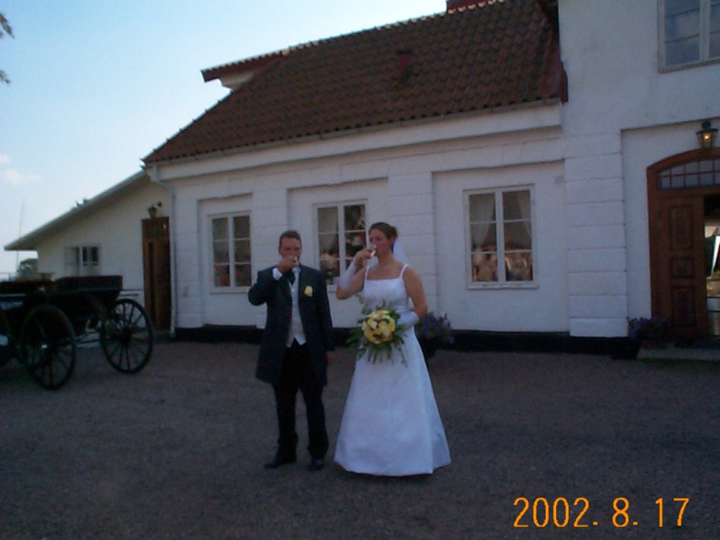 DCP08108.JPG - Patrik och Ninas giftermål.