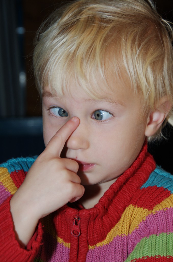 _DSC0505.JPG - Men kors då !