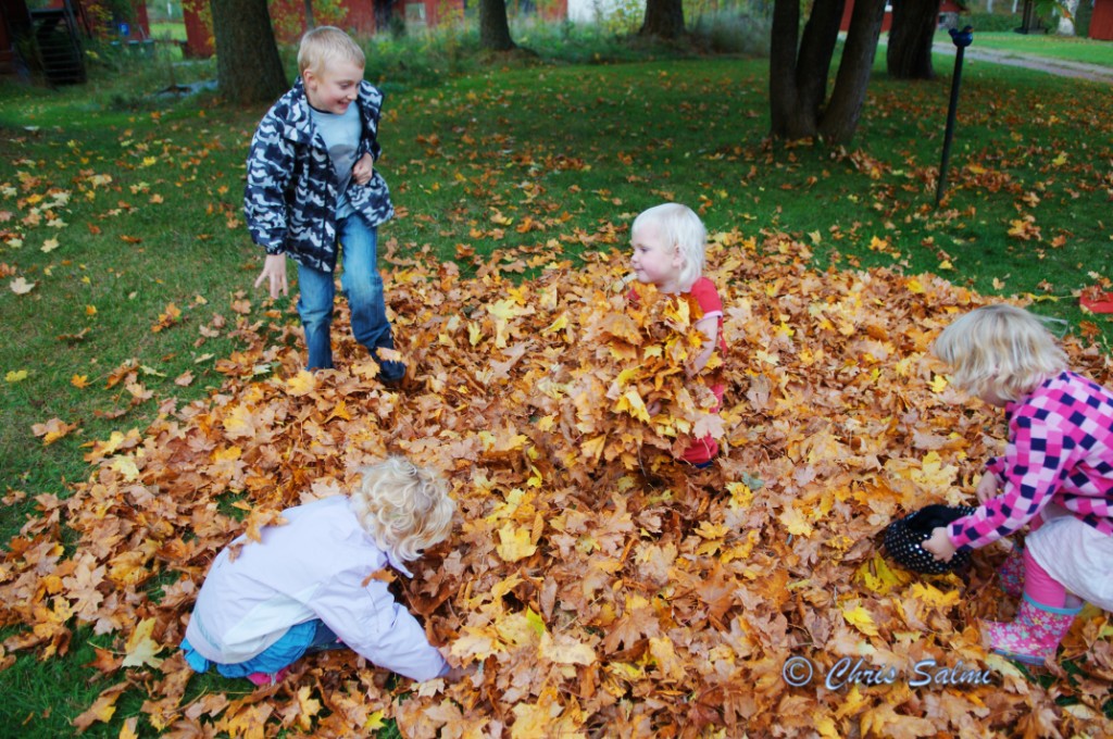 _DSC1656.JPG - Kusinerna leker i lövhögen