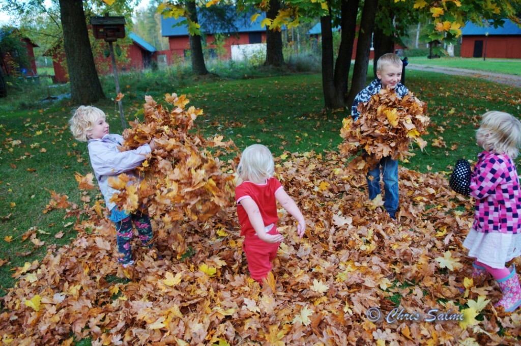 _DSC1664.JPG - Kusinerna leker i lövhögen