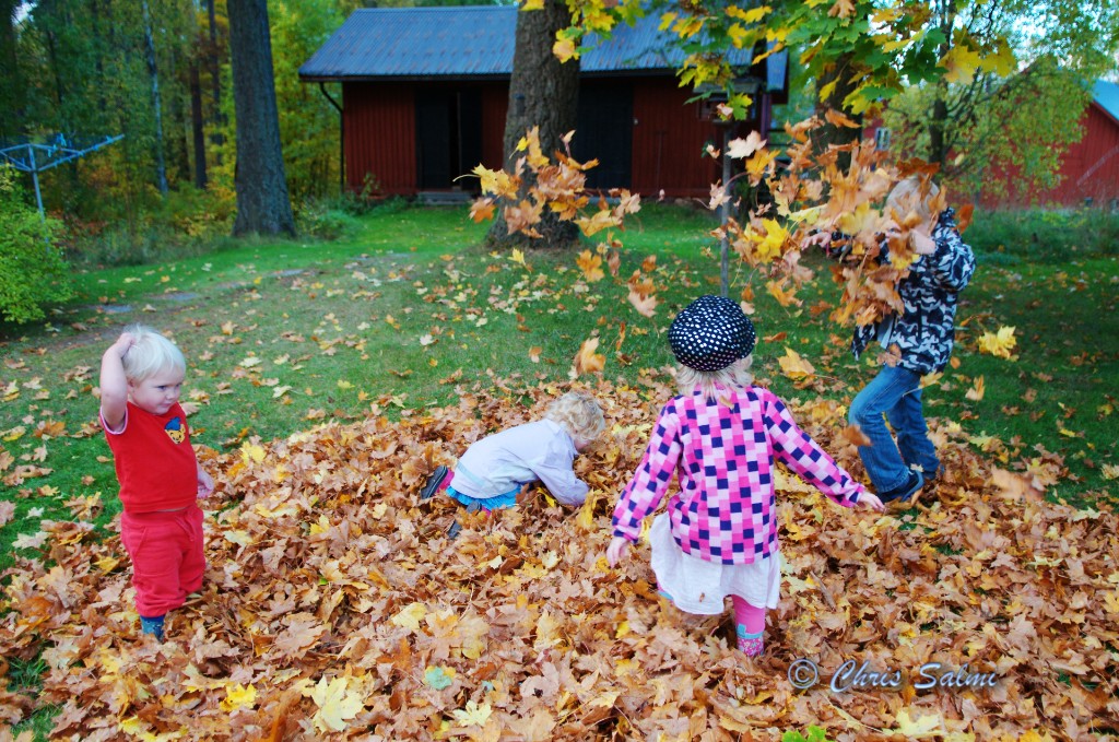 _DSC1676.JPG - Kusinerna leker i lövhögen
