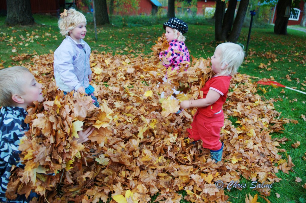 _DSC1717.JPG - Kusinerna leker i lövhögen