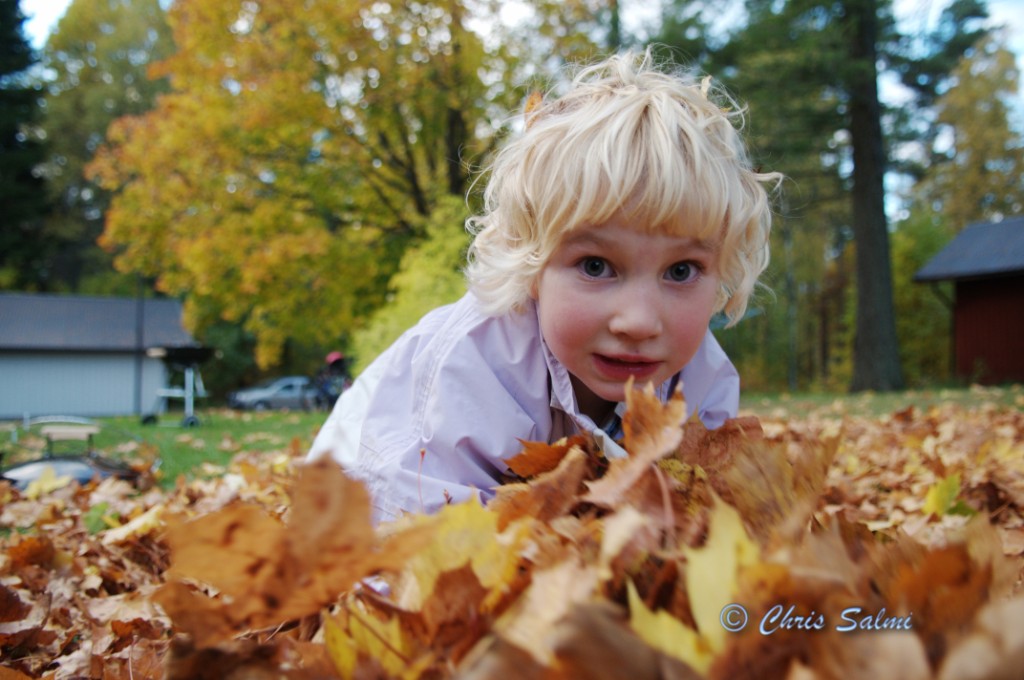 _DSC1740.JPG - KusInes leker i lövhögen