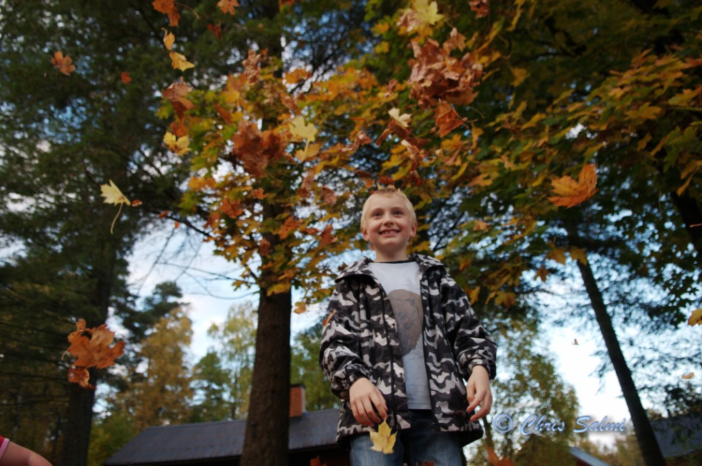 _DSC1745.JPG - Kusinerna leker i lövhögen