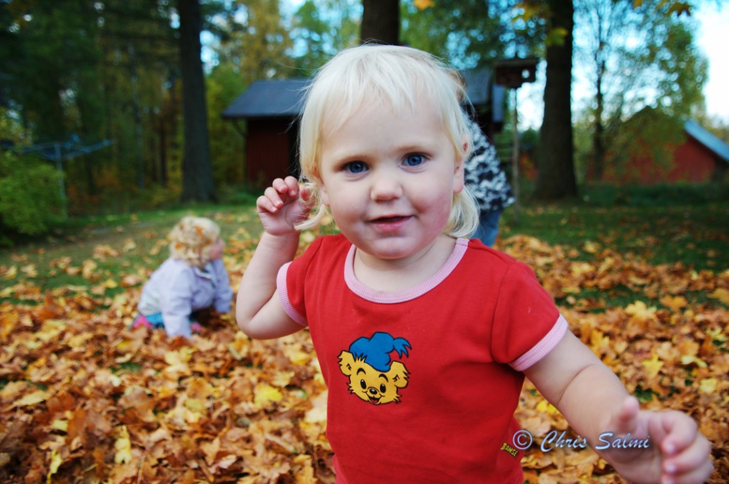 _DSC1765.JPG - Kusinerna leker i lövhögen