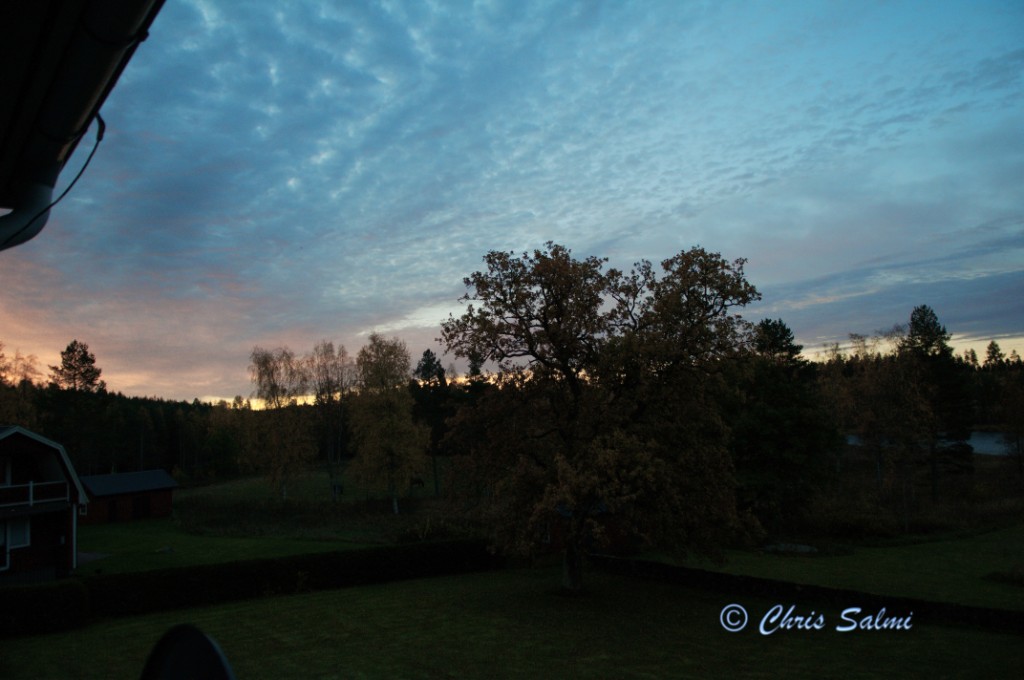 _DSC1849.JPG - Morgonhimmel