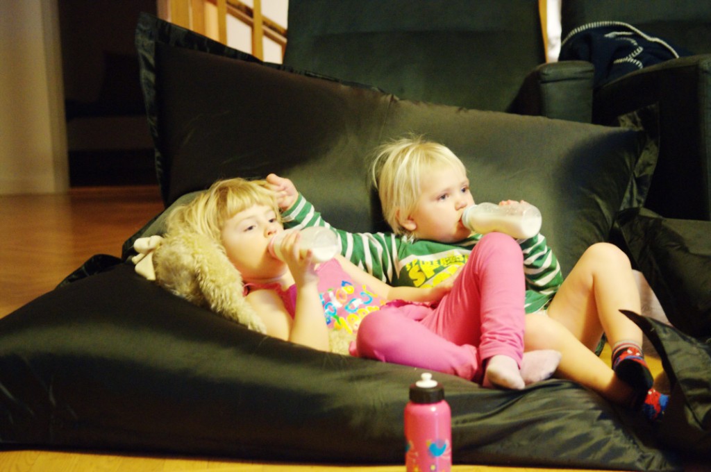 _DSC1931.JPG - Biomys med de små