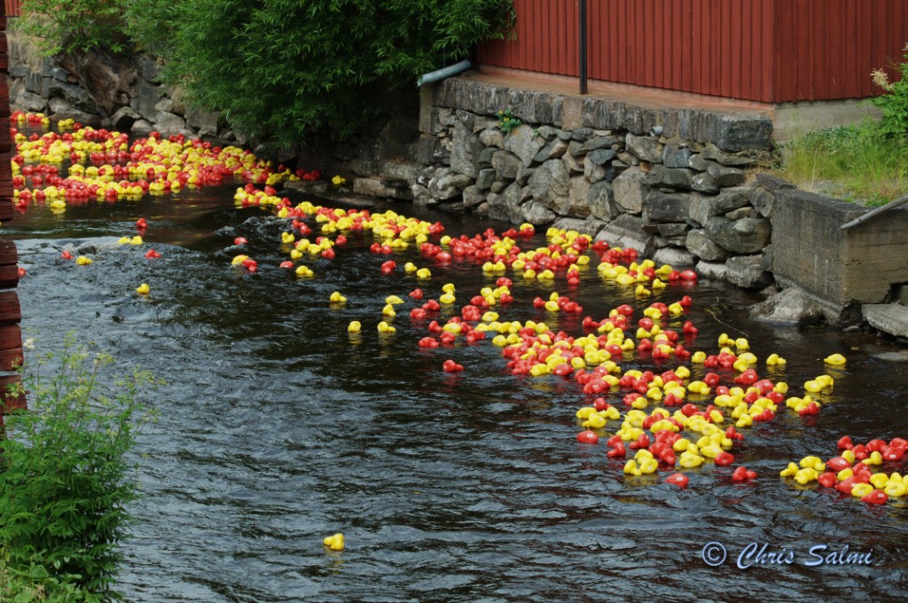 _DSC5937.JPG - och många fler