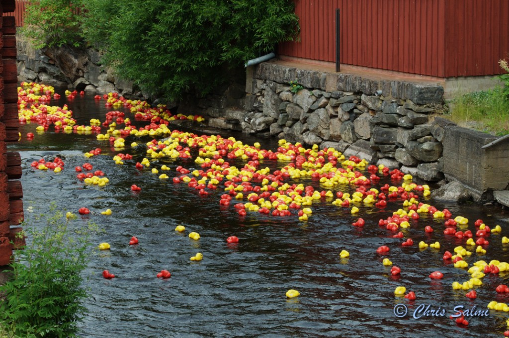 _DSC5939.JPG - och ännu fler