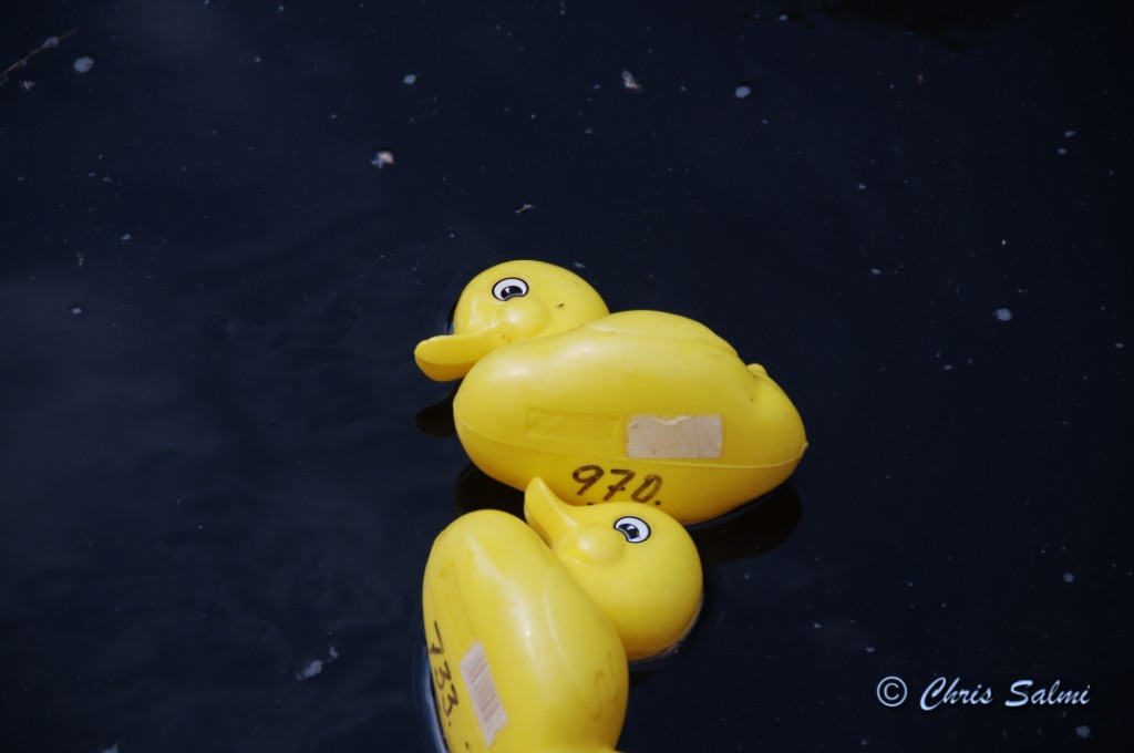 _DSC6010.JPG - Sida vid sida