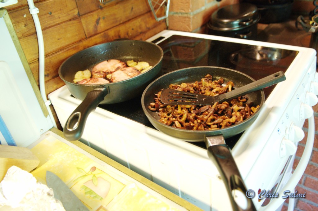 _DSC4826.JPG - Mums kantareller