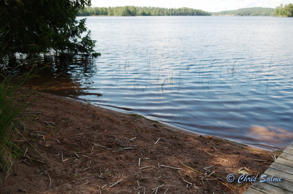 _DSC6406.JPG - Stranden som Magnus byggde förra året. Chris fick vara med om det spännande projektet. Sanden ligger kvar på bägge stränderna! (35ton)