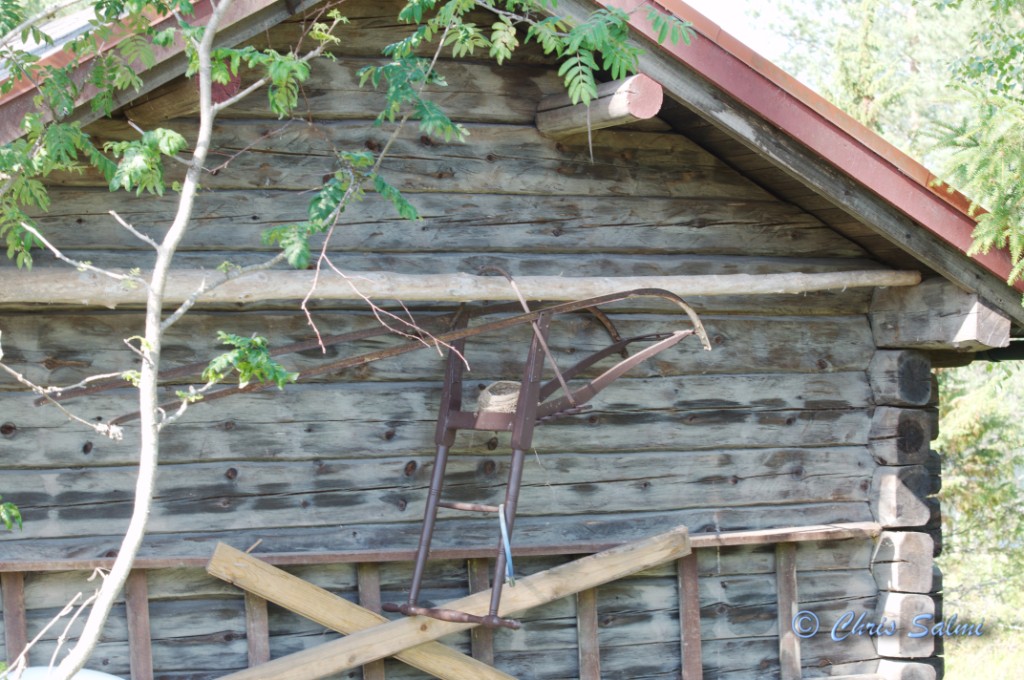 _DSC6475.JPG - Underlig plats att bygga bo på!